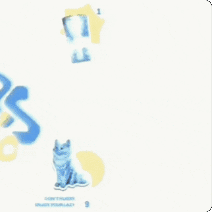 이준호 팬이 찍은 순간