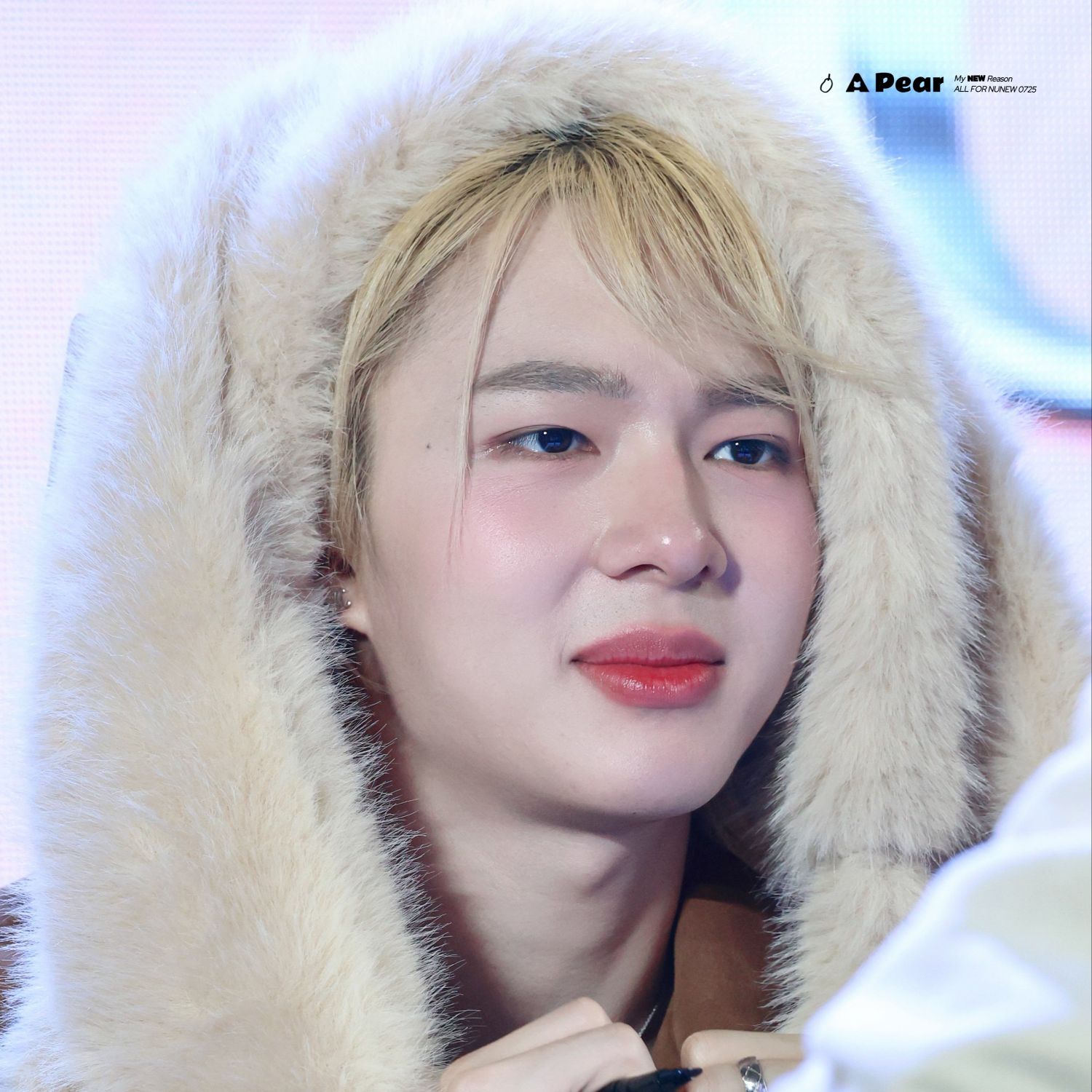 Recent activity shot of NuNew