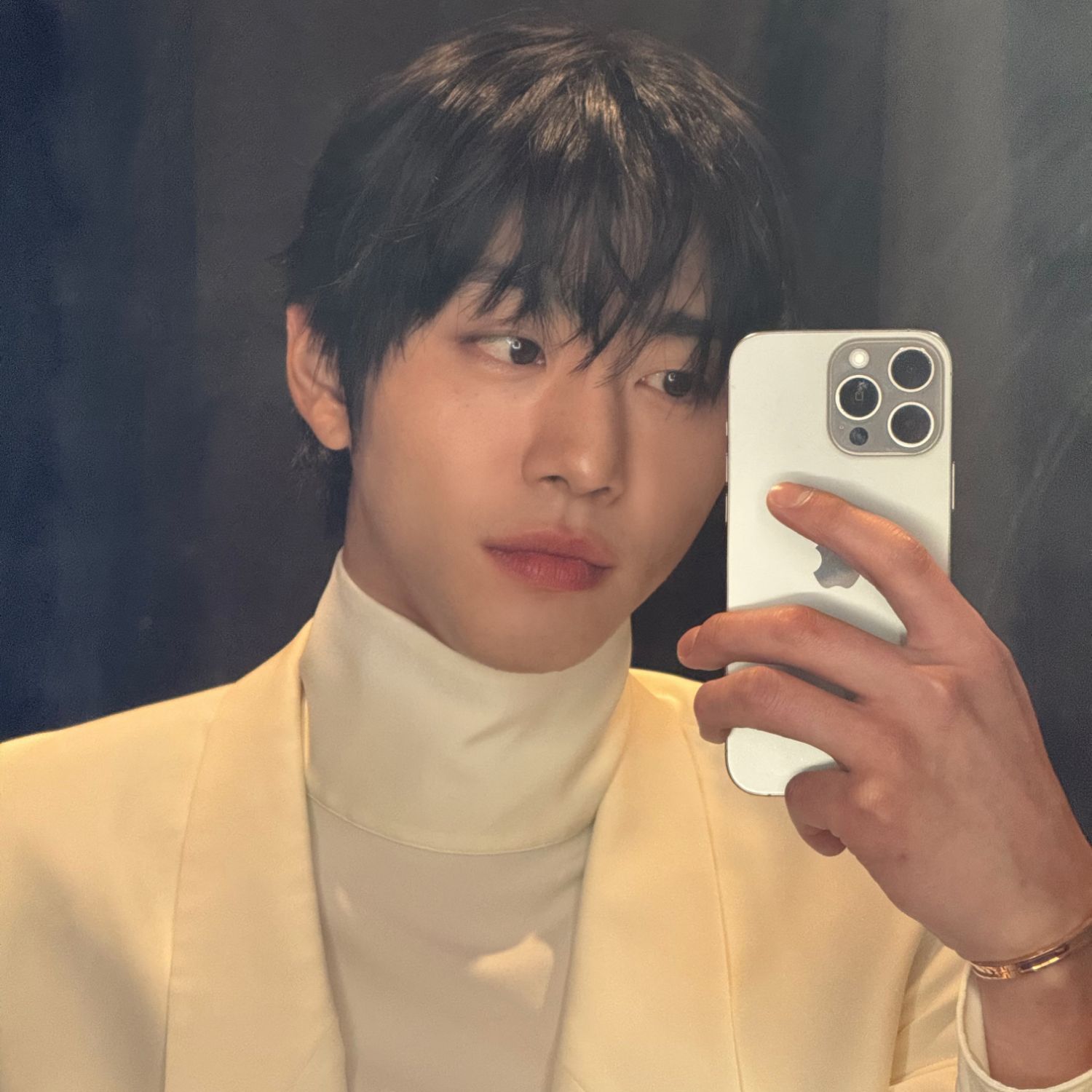 安孝燮的幕后花絮