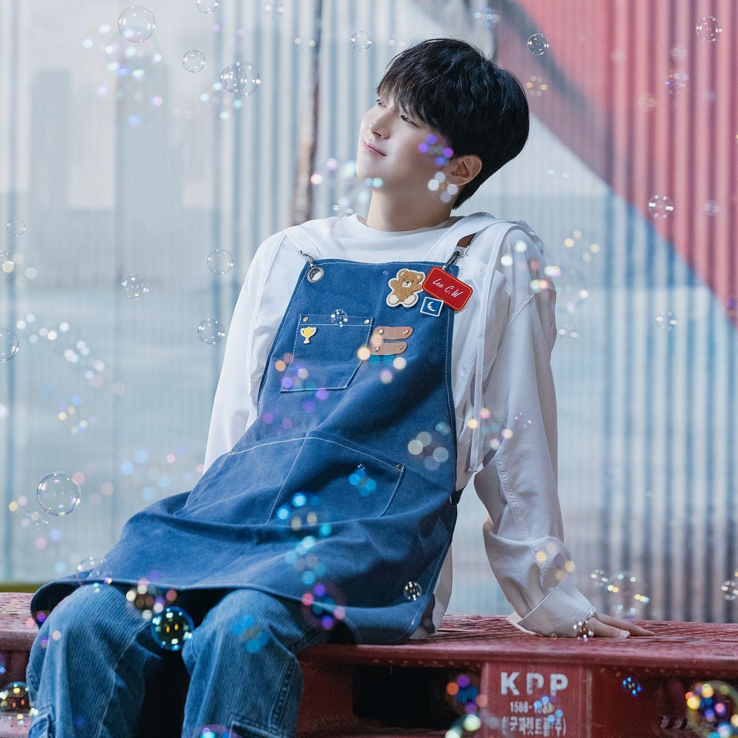 이찬원 팬이 찍은 순간