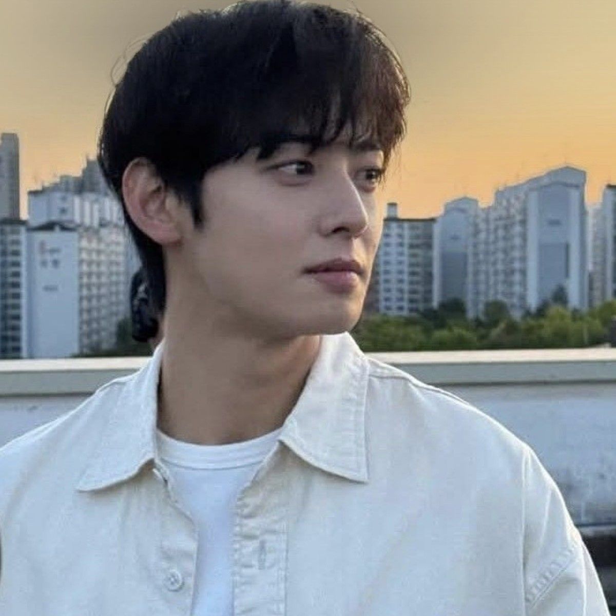 Recent activity shot of Cha Eunwoo