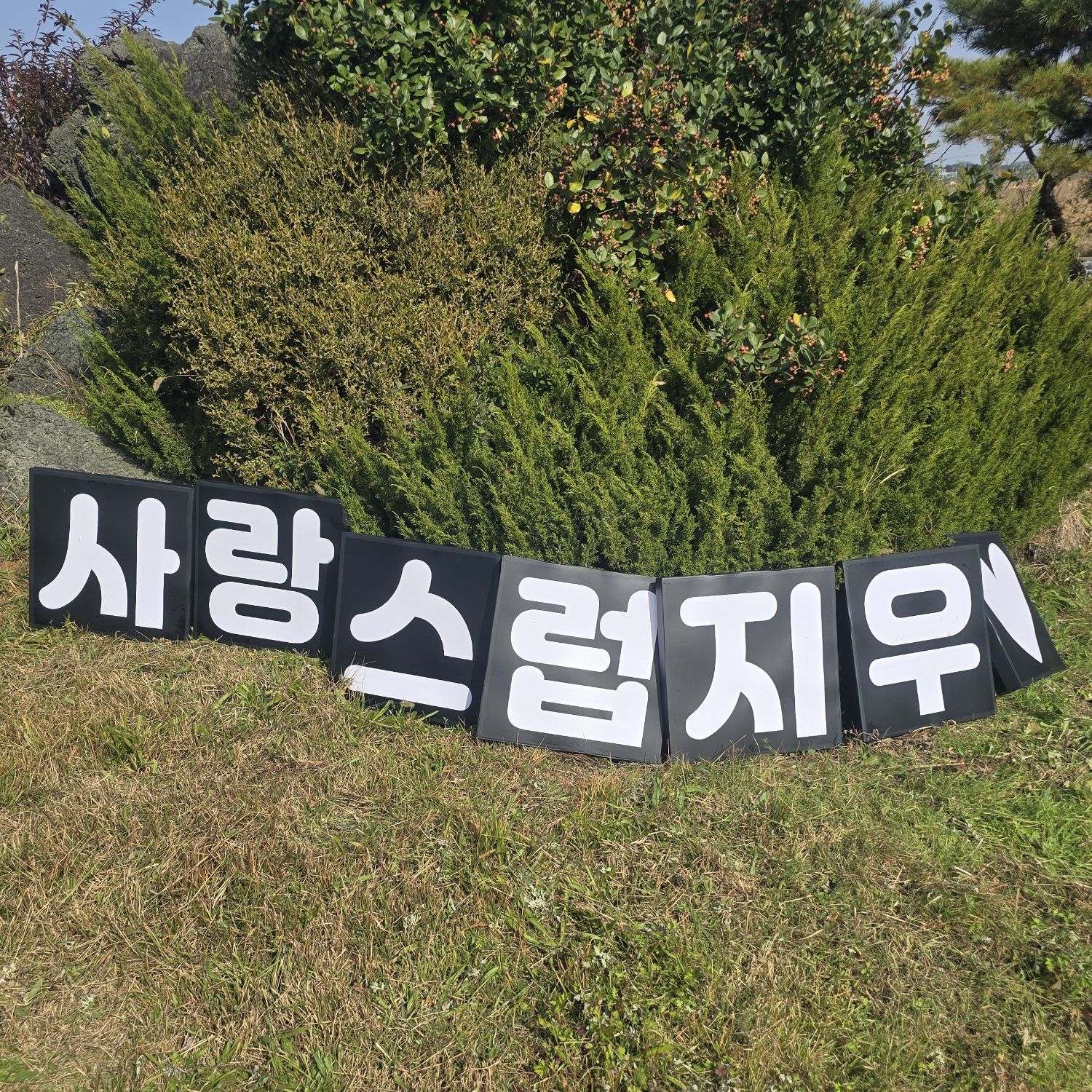 Behind-the-scenes cut of You Jiwoo