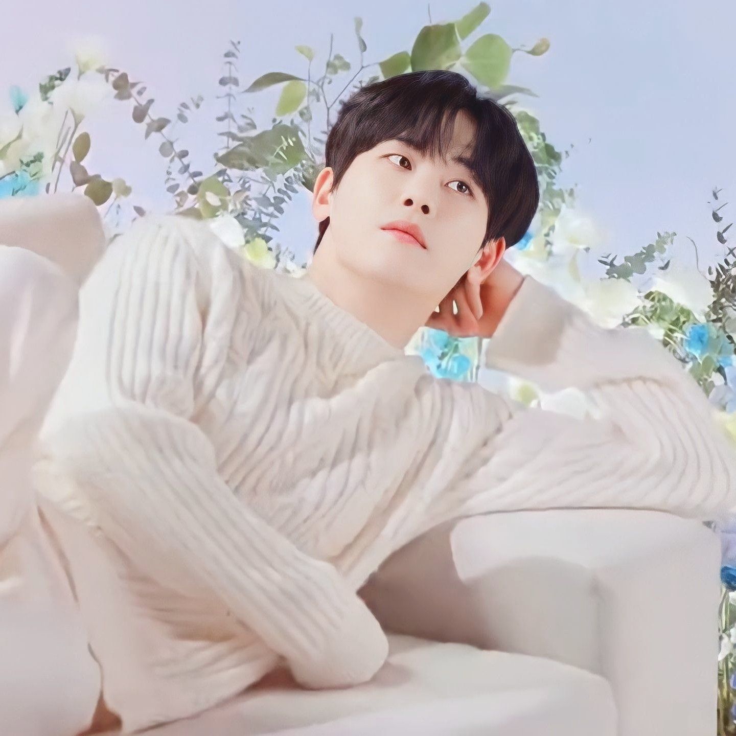 Recent activity shot of Hoya