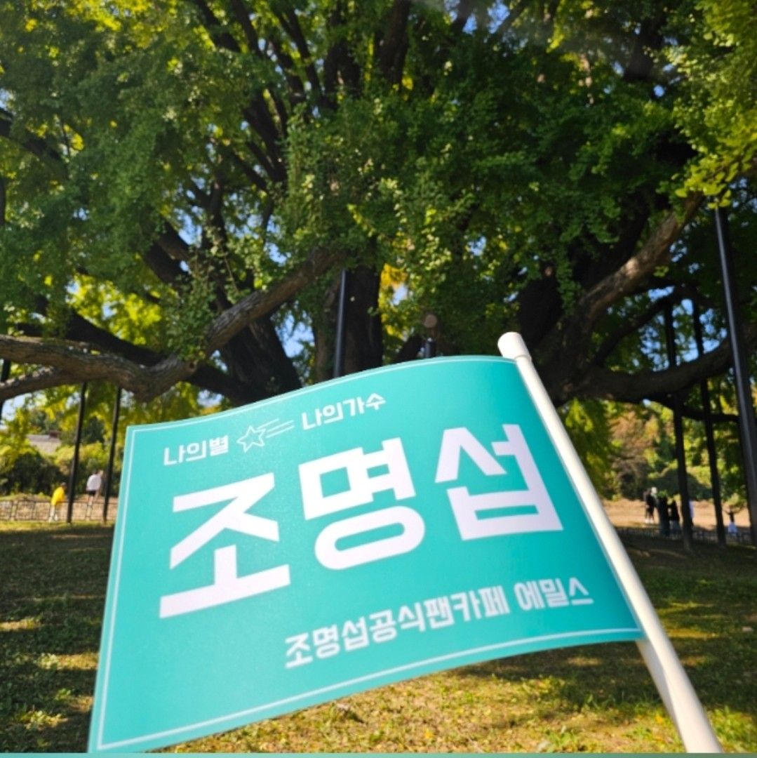 조명섭 팬이 찍은 순간