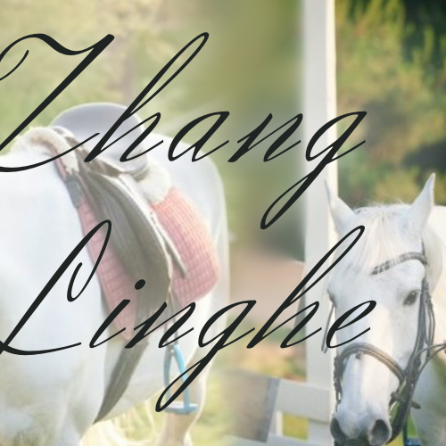 Recent activity shot of Zhang Linghe