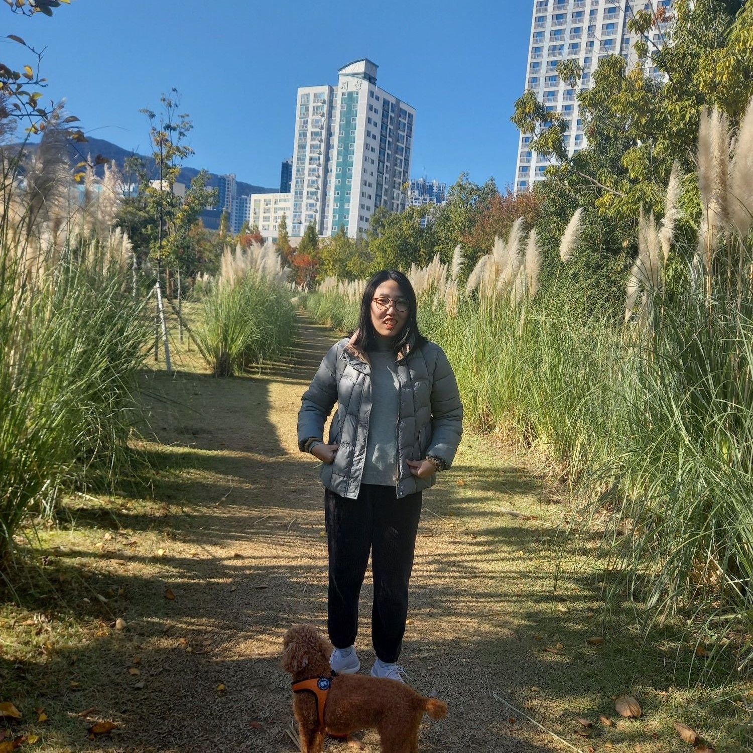 Momen yang diabadikan oleh penggemar Lim Youngwoong