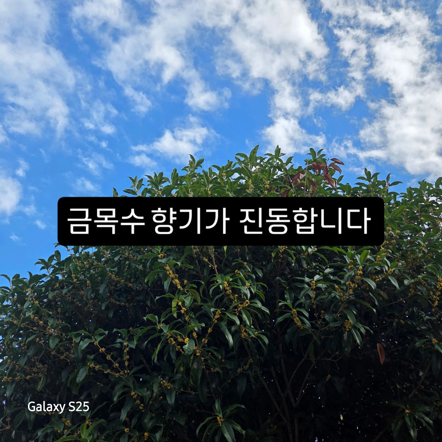 Cuplikan di balik layar dari Jang Minho