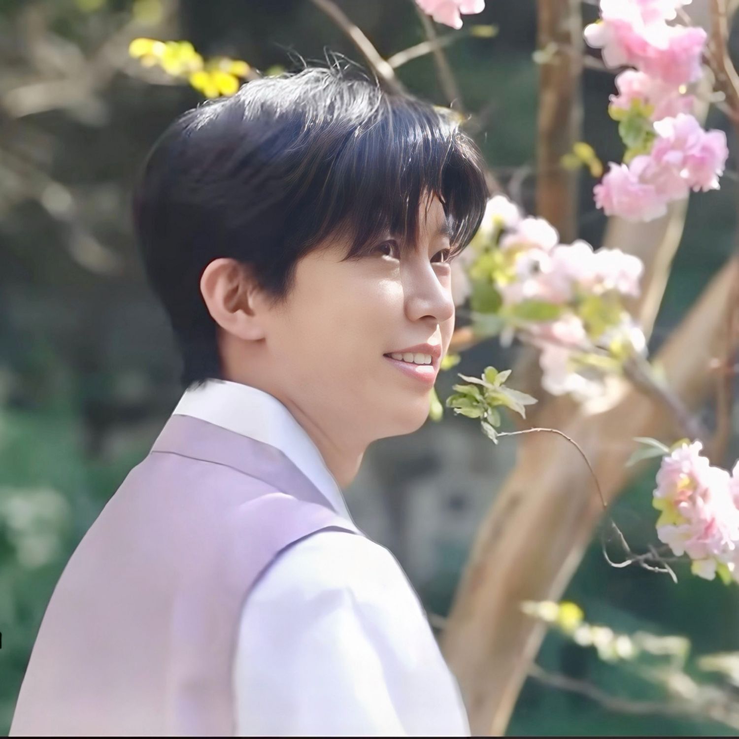 임영웅의 최신 사진