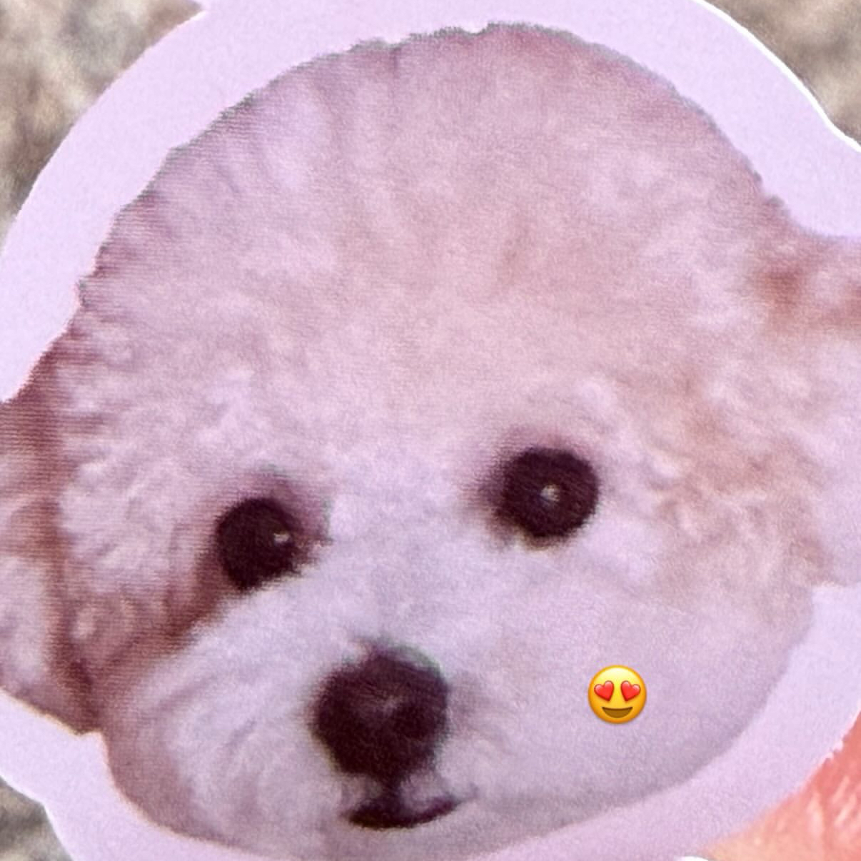 Latest photo of Kim Seonho