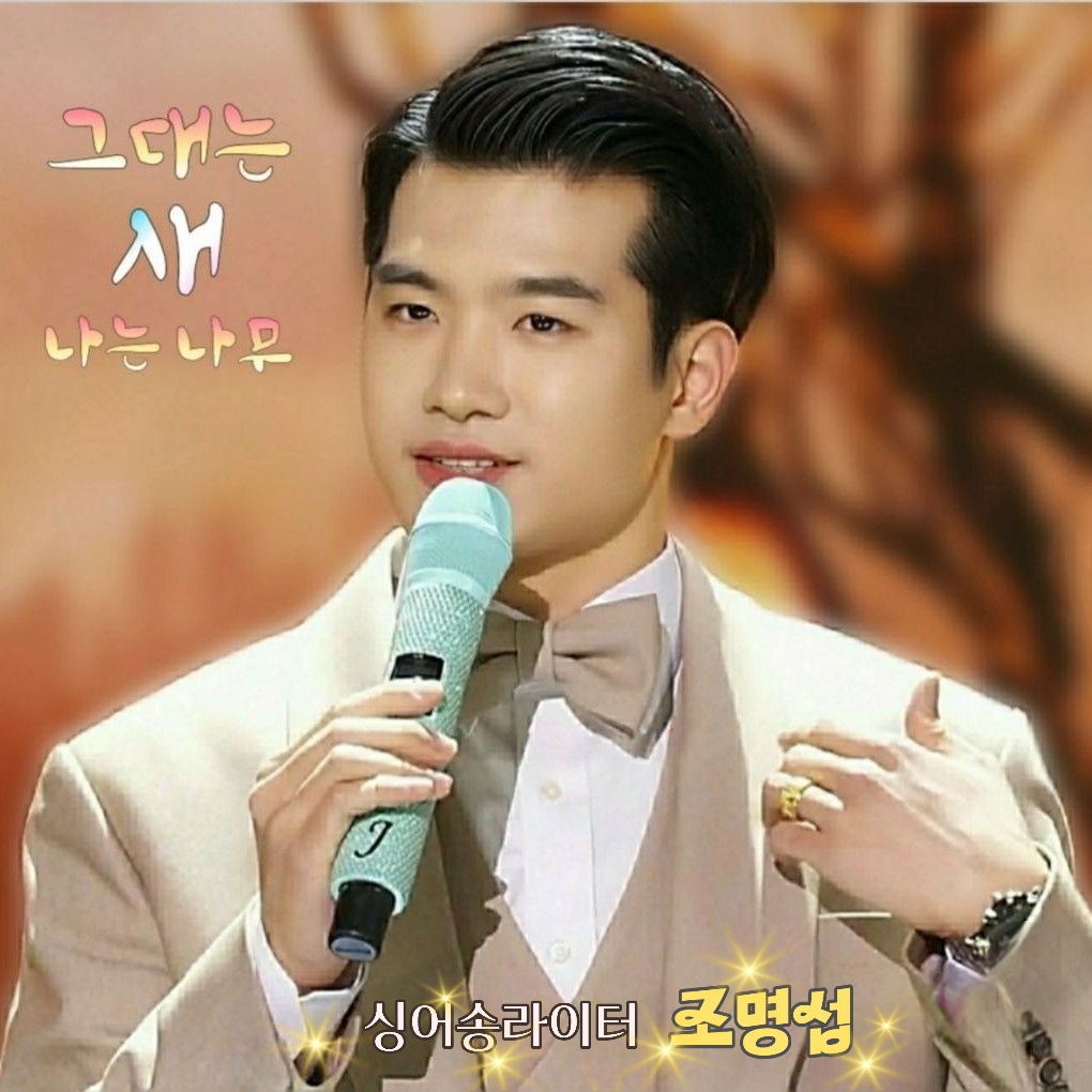 赵明燮的幕后花絮