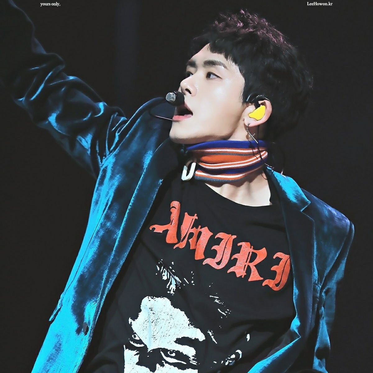 Recent activity shot of Hoya