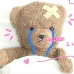 모모의 최신 사진
