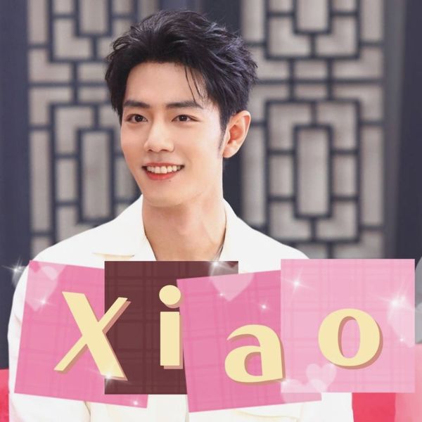Representative photo of Xiao Zhan showing their charm