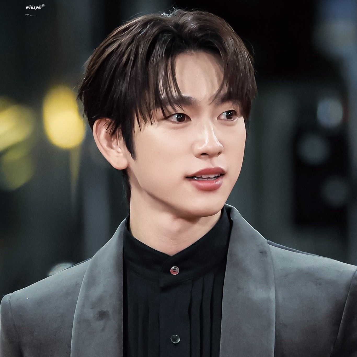 朴珍荣的近期活动照