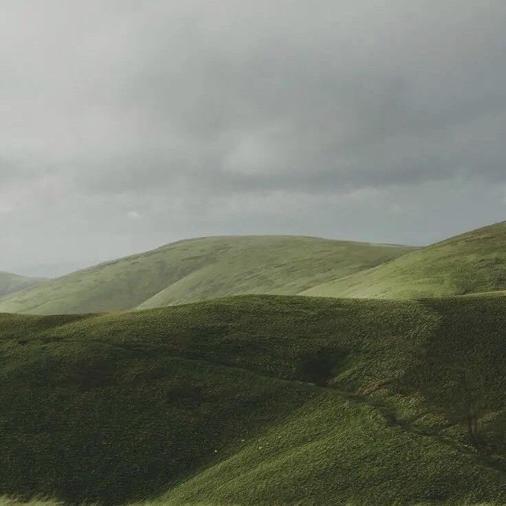 Suho的近期活動照