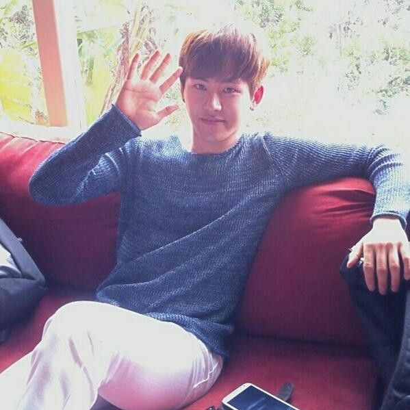 Latest photo of Hoya