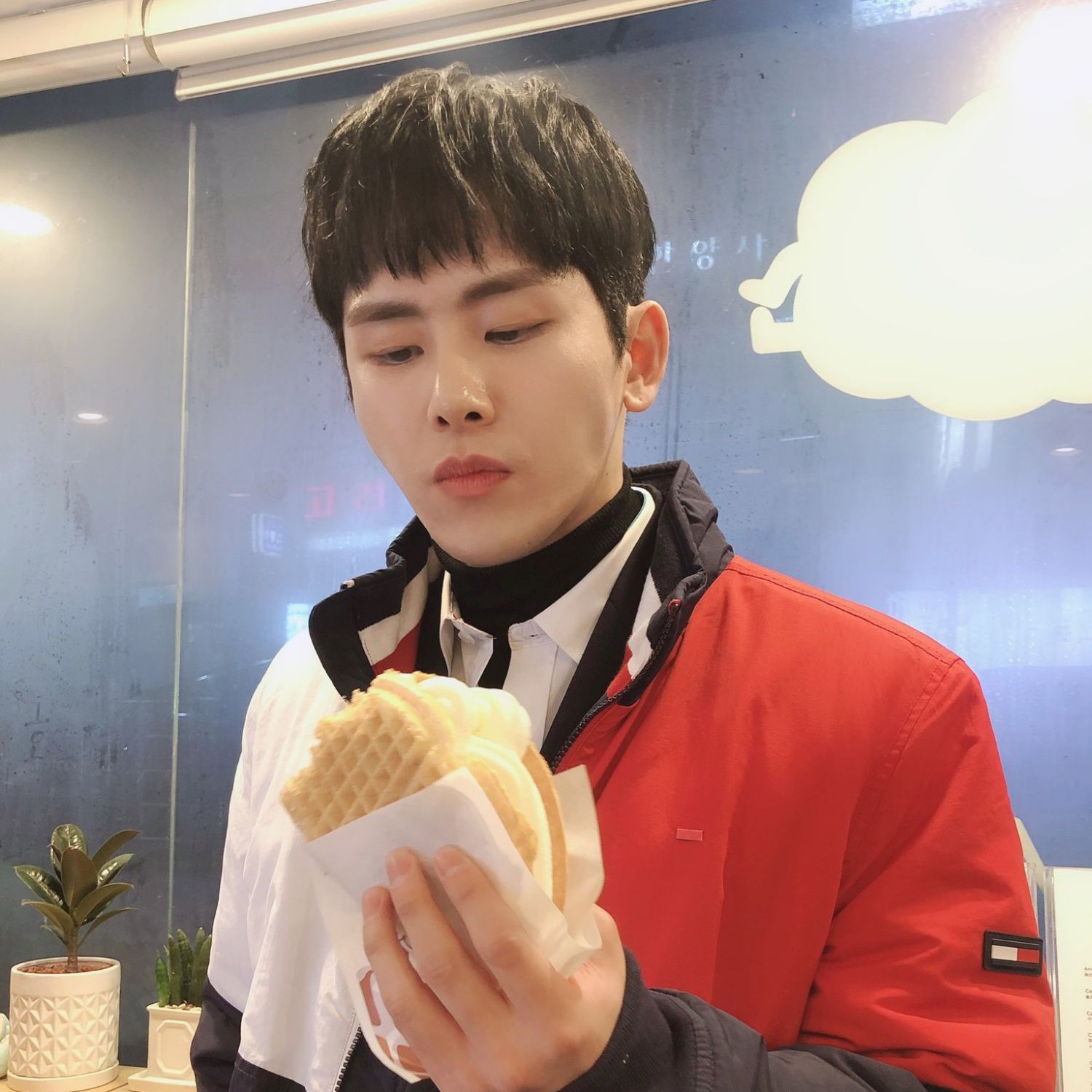 Recent activity shot of Hoya