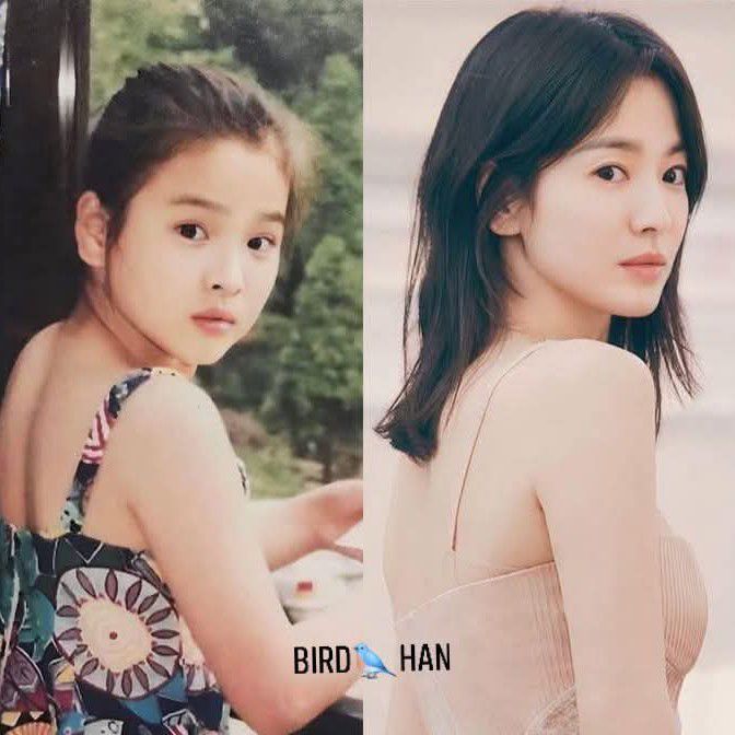 송혜교의 최신 사진
