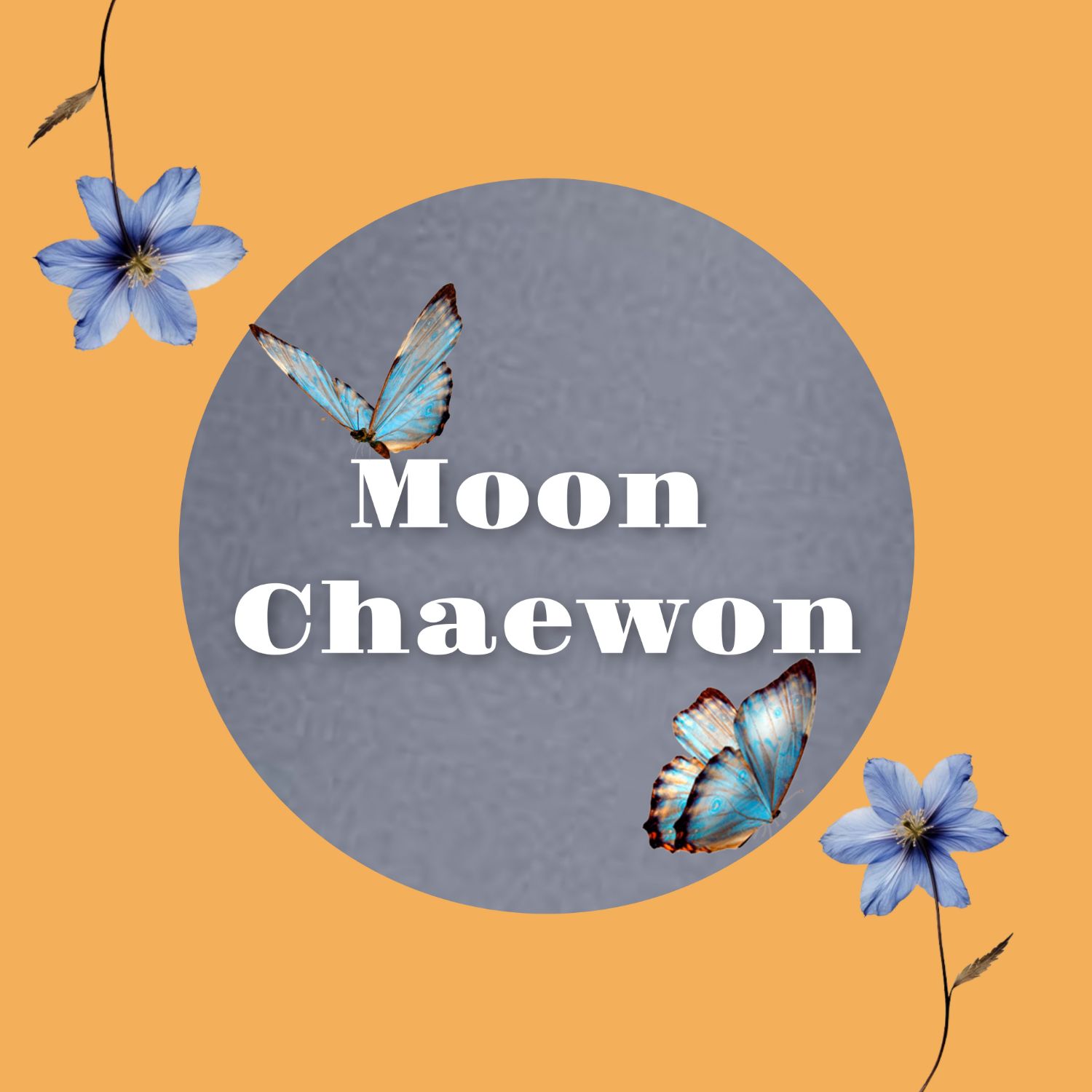 Latest photo of Moon Chaewon