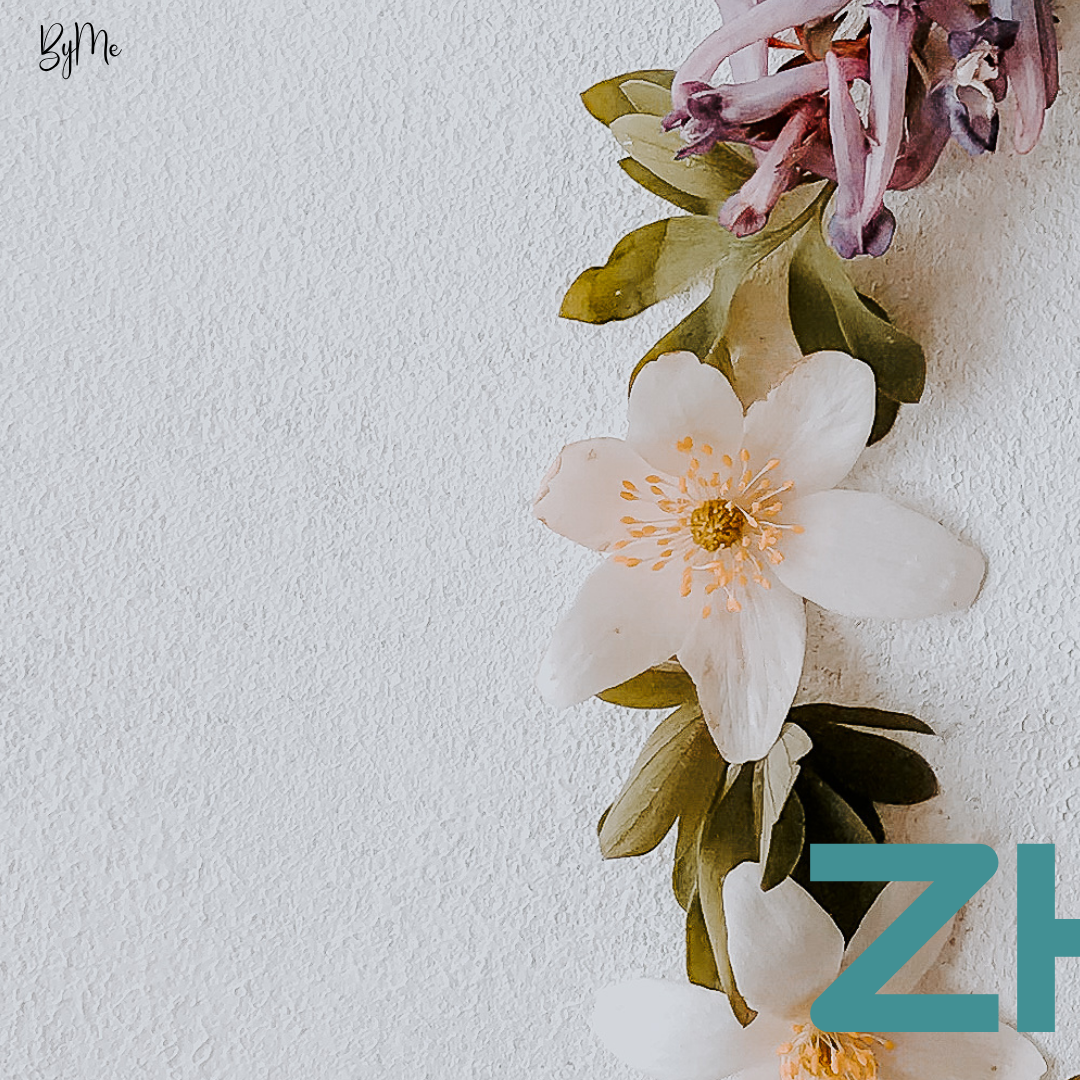 A moment captured by a fan of Zhao Lusi