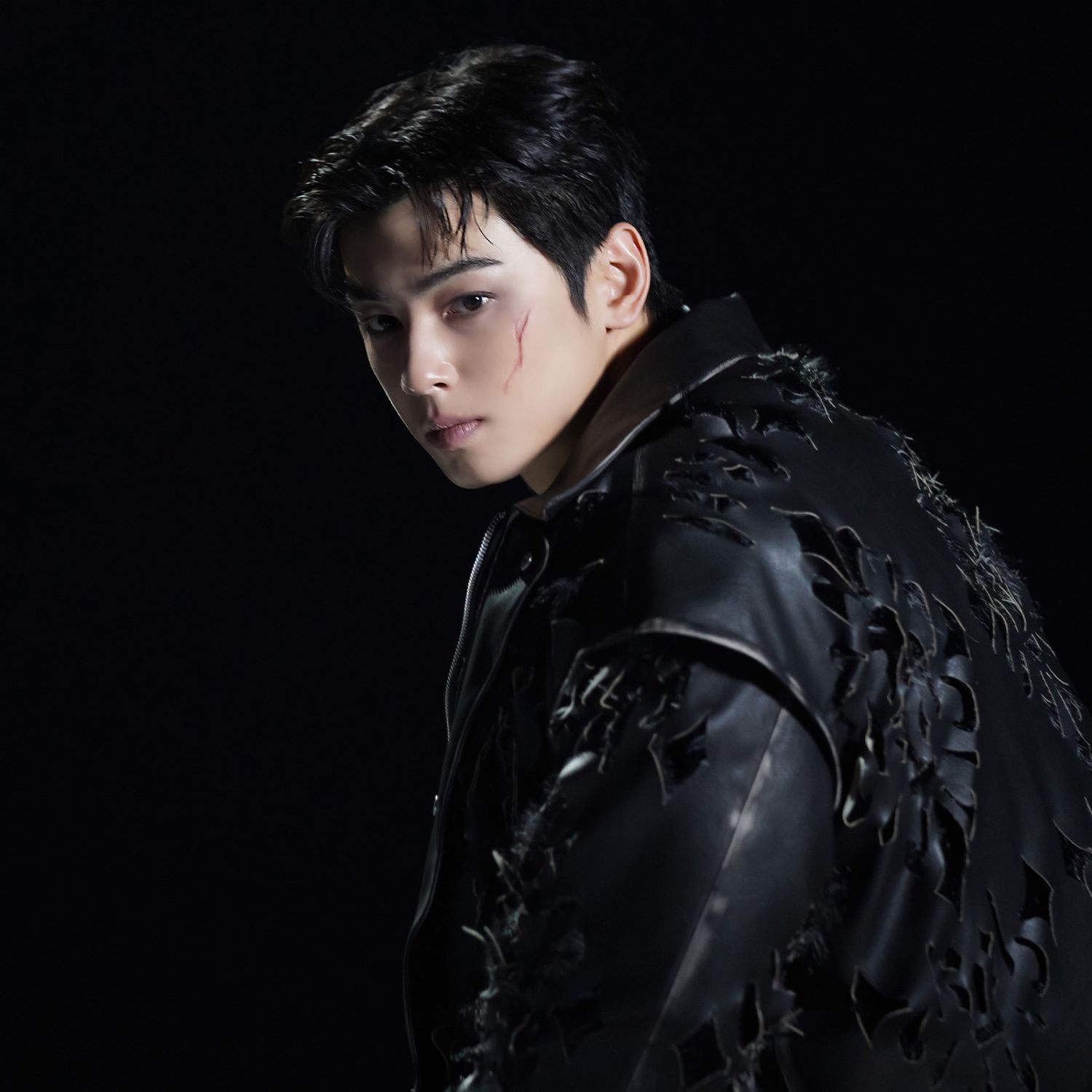 ファンが撮影したチャ・ウヌの瞬間