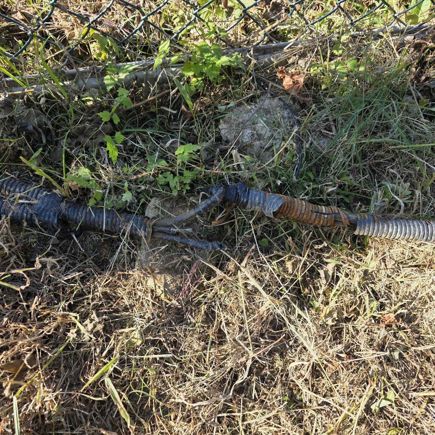 ファンが撮影したイ・チャンウォンの瞬間