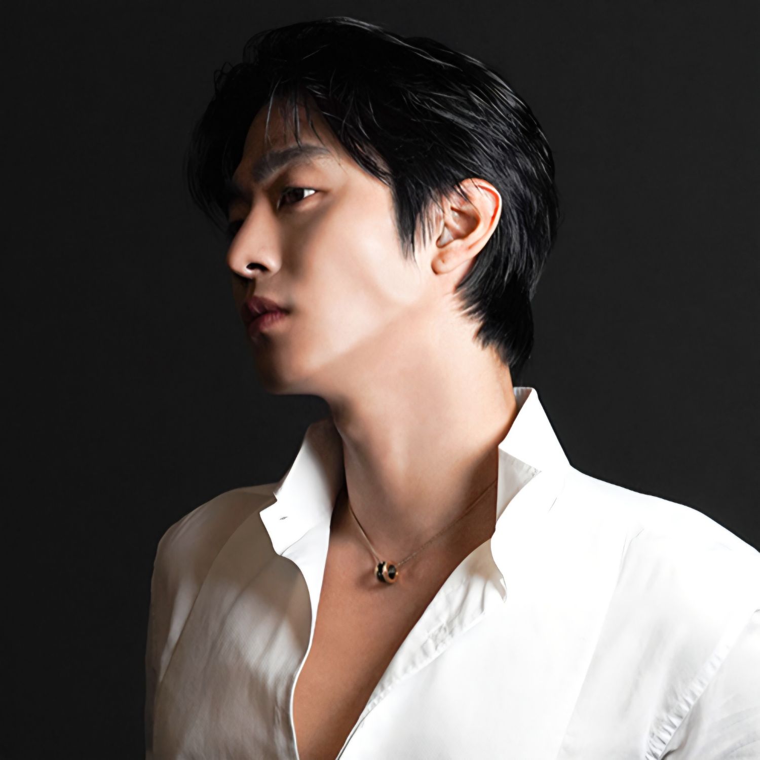 安孝燮的幕后花絮