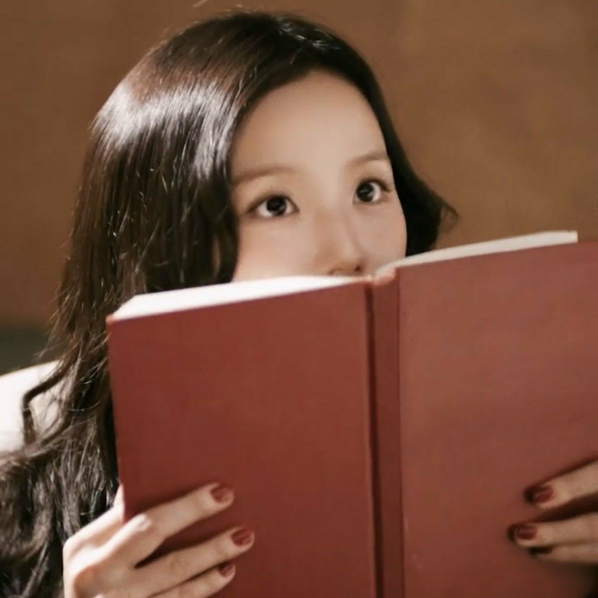 A moment captured by a fan of Jisoo (1995)