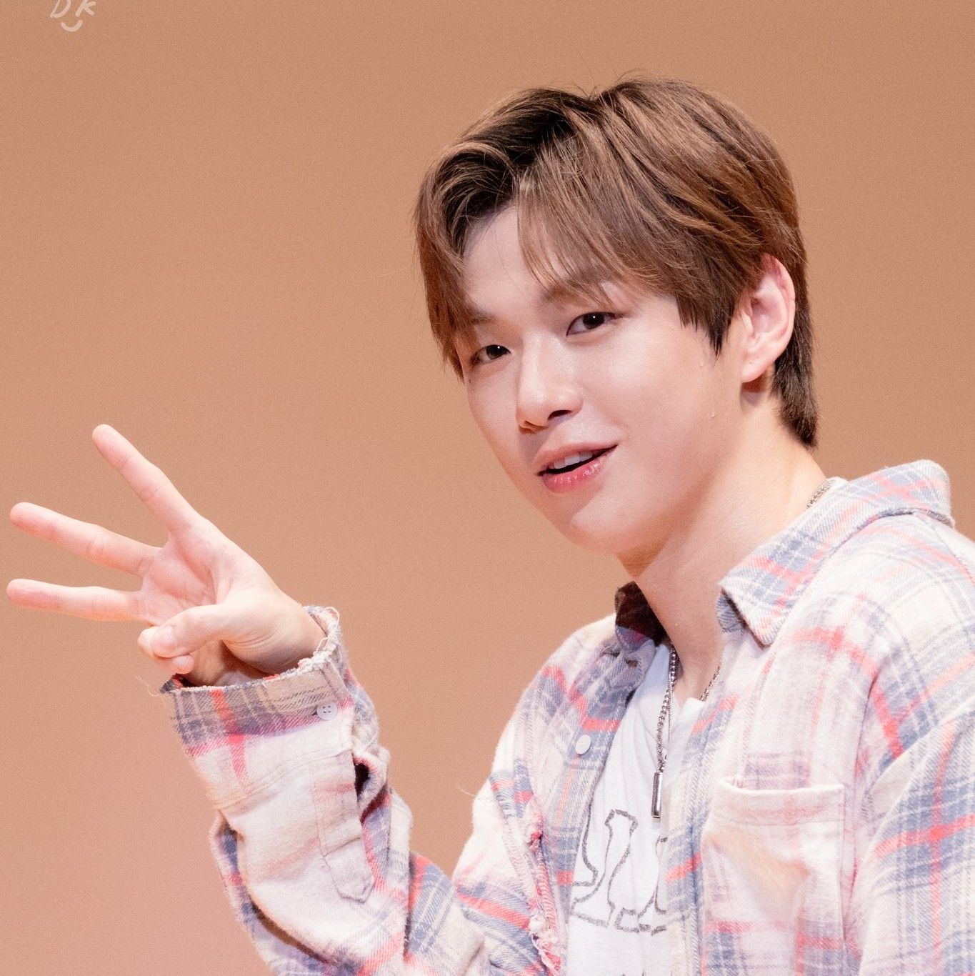 Recent activity shot of Secret Garden