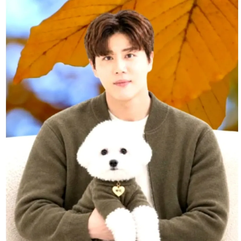 A moment captured by a fan of Jin Haesung