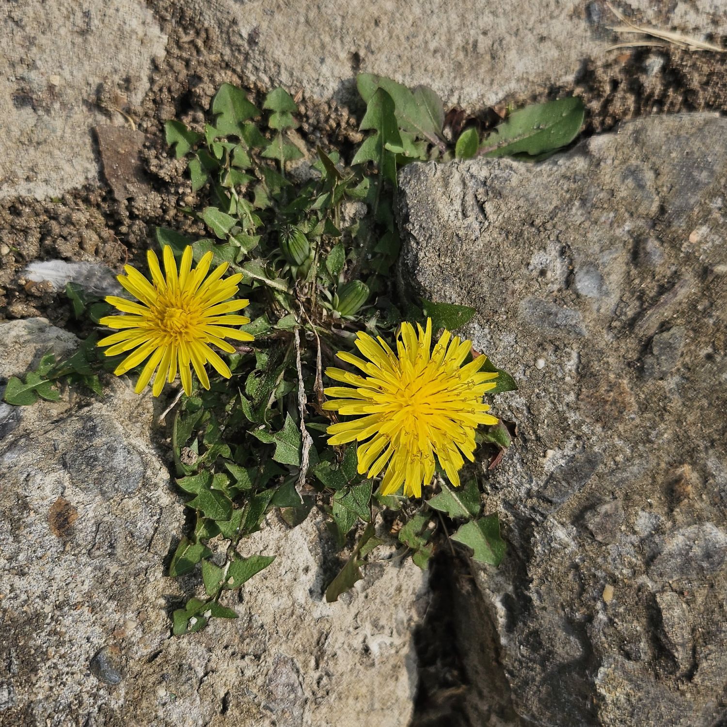 Behind-the-scenes cut of Jeong Dongwon