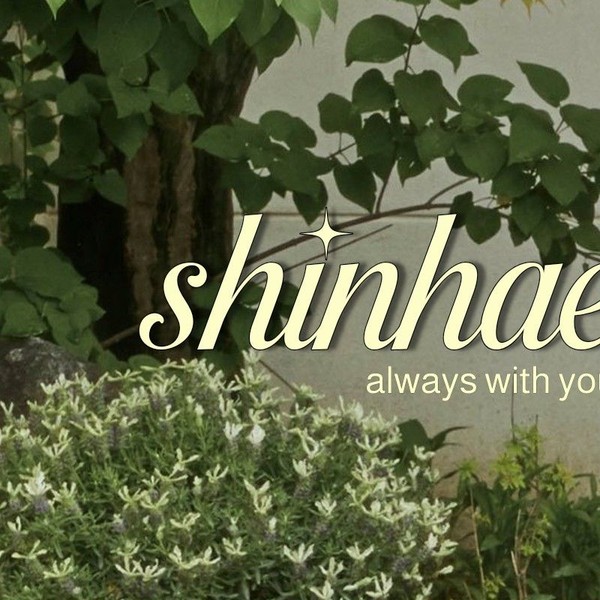 Top moment of Shin Haesun selected by the fandom