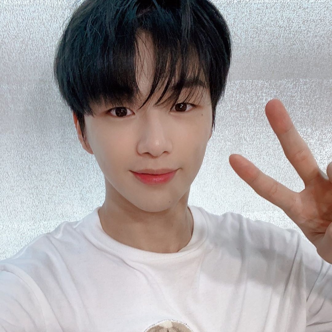 Recent activity shot of Secret Garden