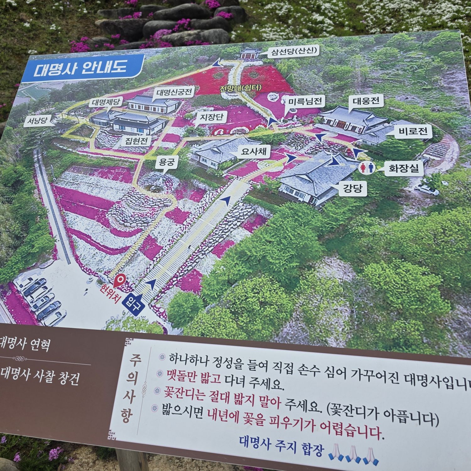 이찬원 팬이 찍은 순간