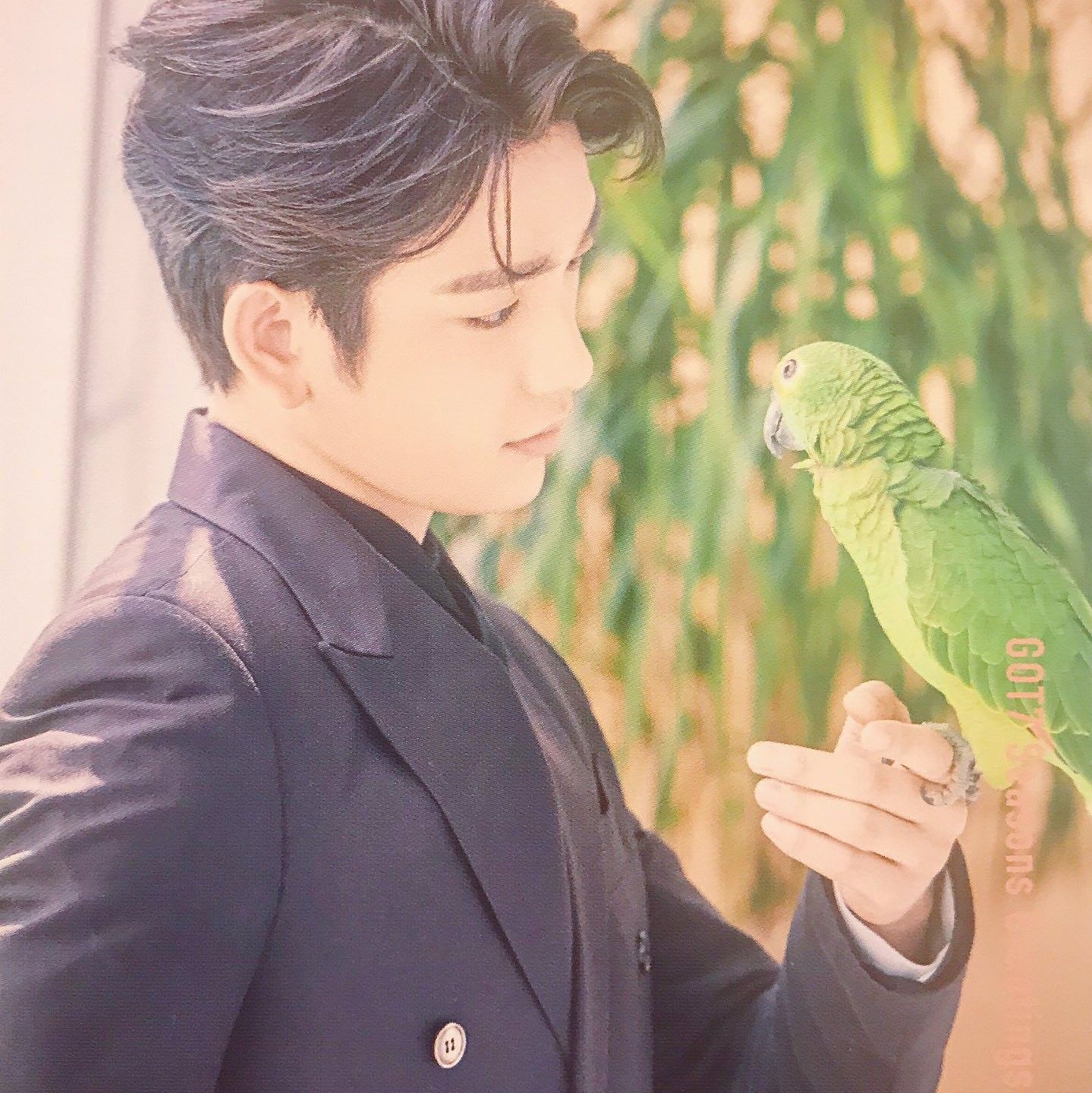 박진영의 비하인드 컷