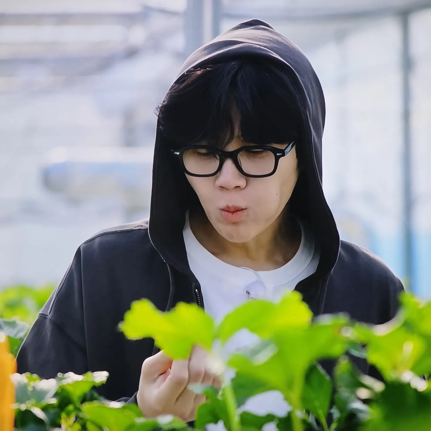 Foto kegiatan terbaru dari Kim Seonho