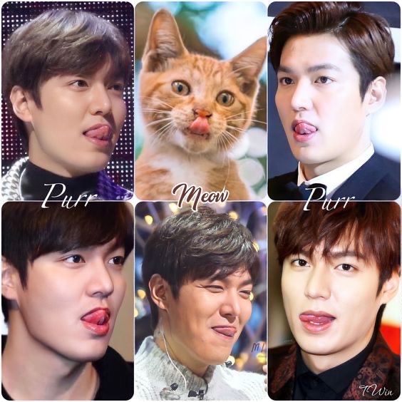 Recent activity shot of Lee Minho
