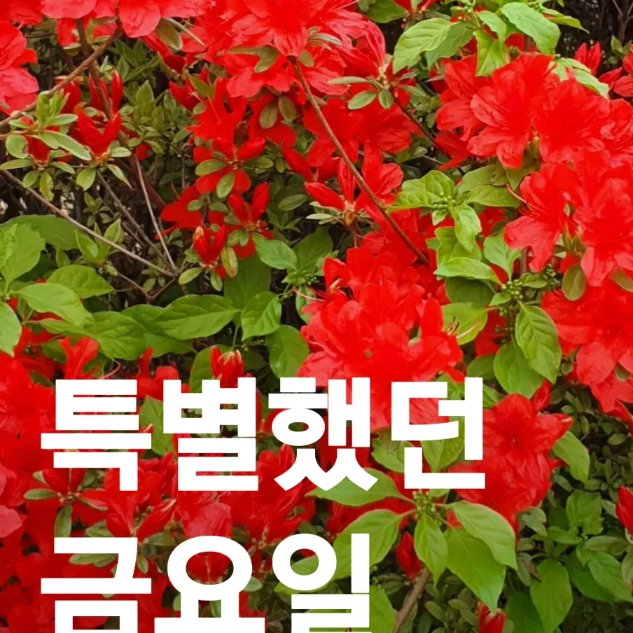 Recent activity shot of Choi Jaemyeong