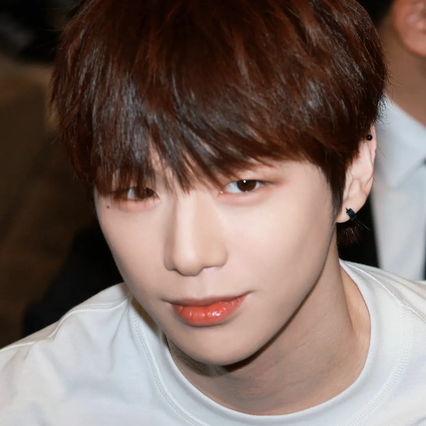 Latest photo of Secret Garden