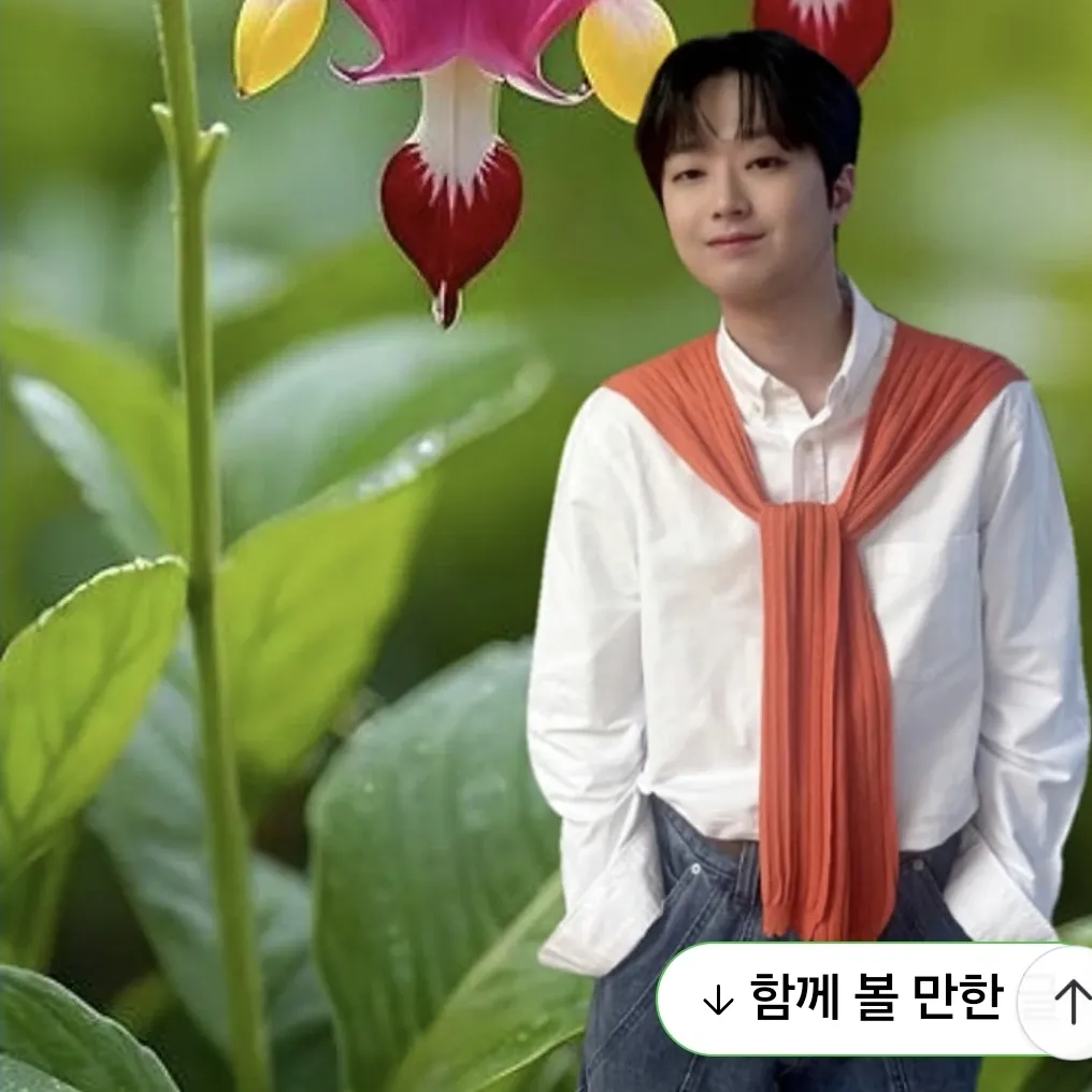 이찬원 팬이 찍은 순간