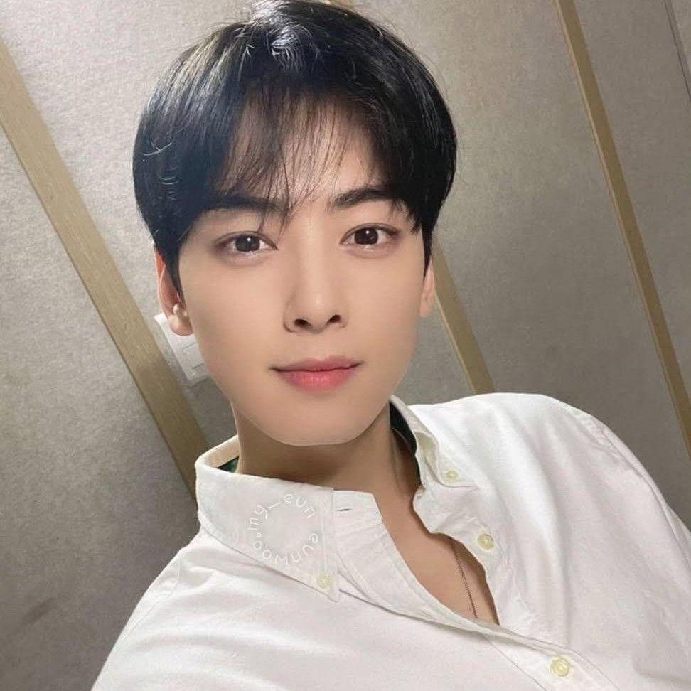 チャ・ウヌの最近の活動ショット