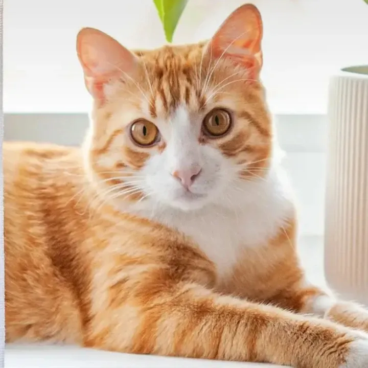 Recent activity shot of Kim Heeae