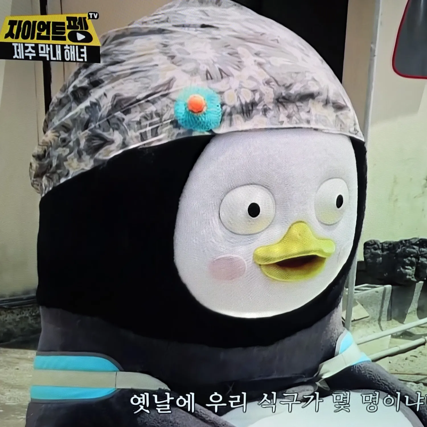 펭수 최근 활동샷