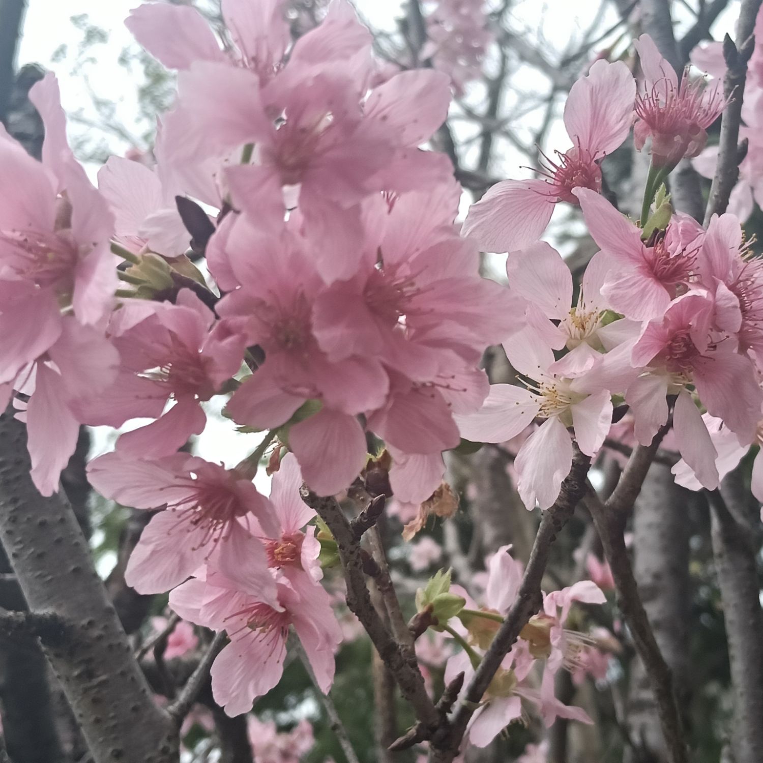 Recent activity shot of Baekhyun