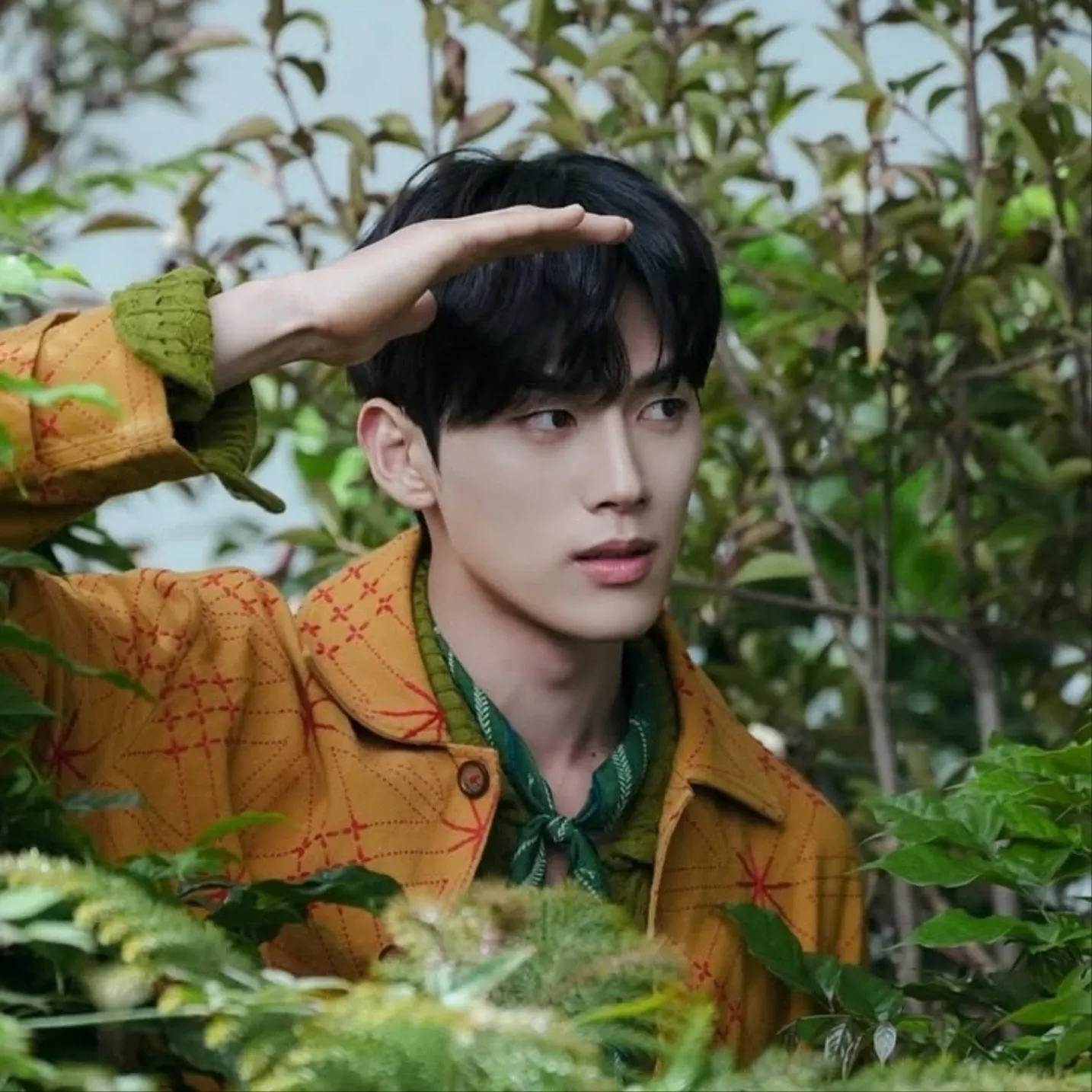 Recent activity shot of Hong Mingi