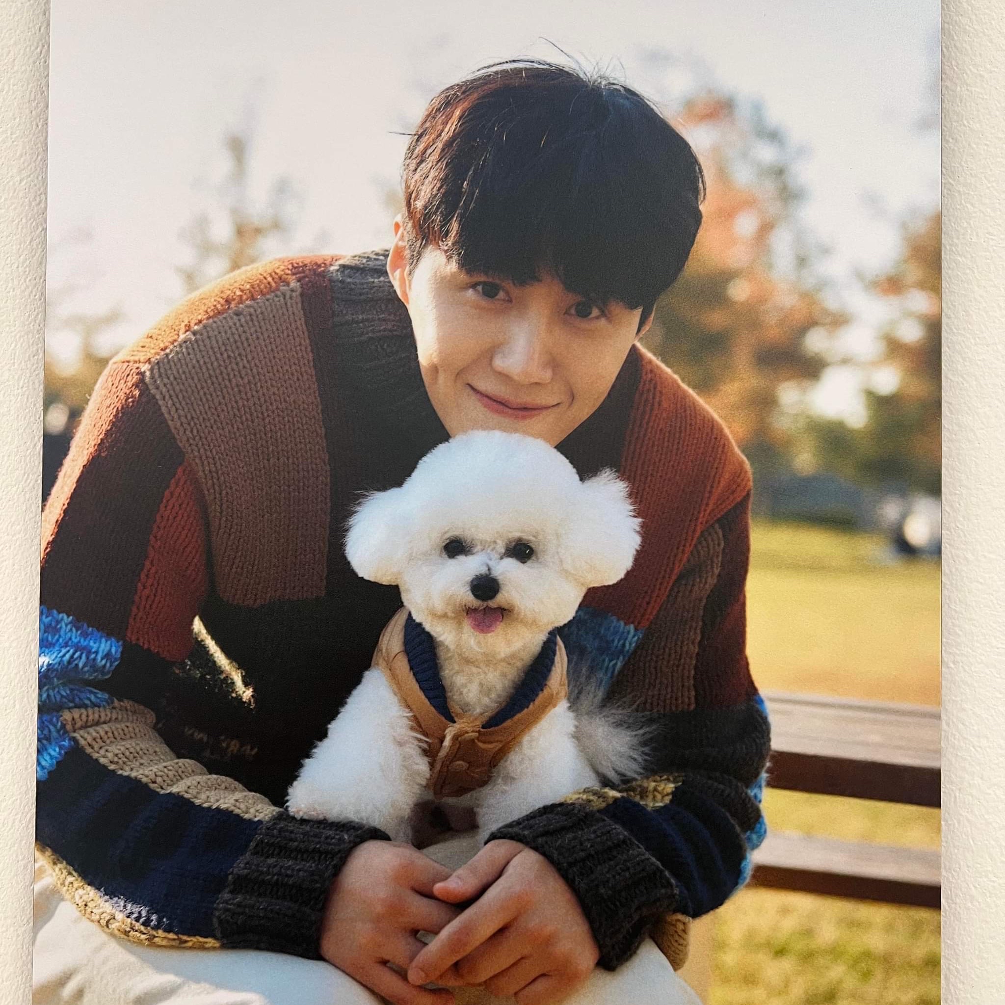 김선호 최근 활동샷