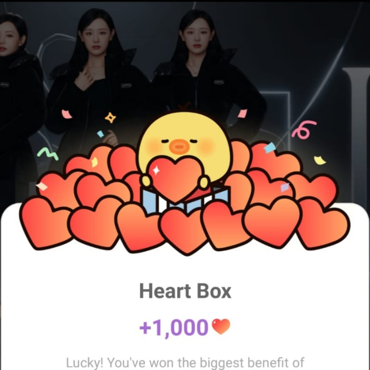 金智媛的近期活動照