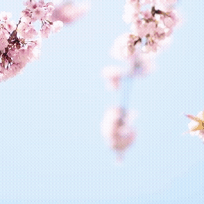 Recent activity shot of Kim Seonho