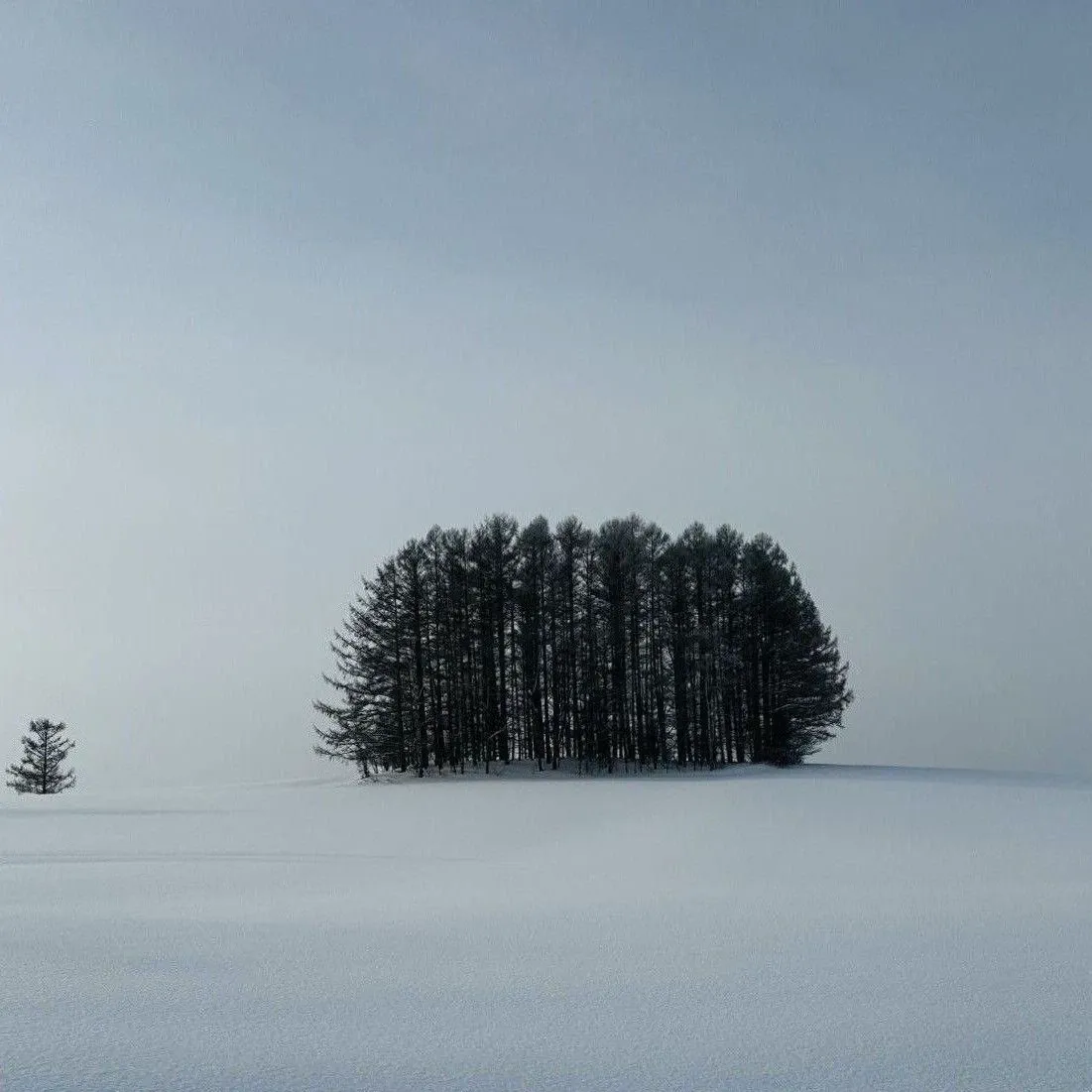 都暻秀 (D.O.)的幕後花絮