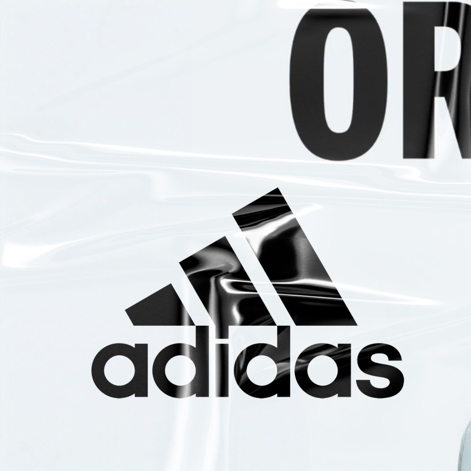 Recent activity shot of Dylan Wang